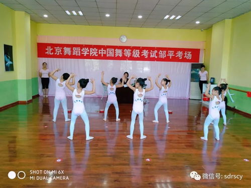 舞動少年夢，藝考新篇章——北京舞蹈學院教材少兒舞蹈考級鄒平站順利推進